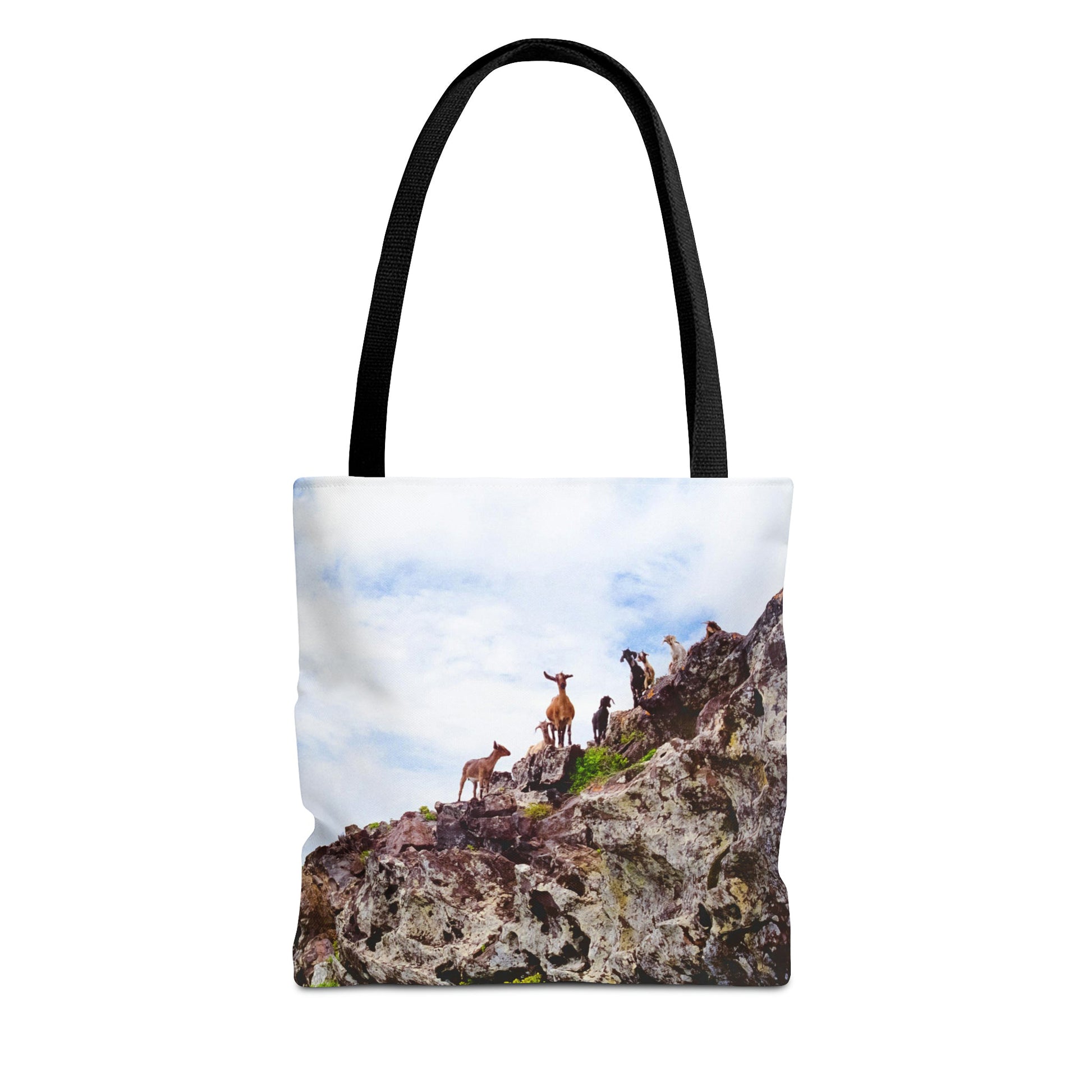 Front view of the small 13 x 13 inch tote bag with the curious goats design.