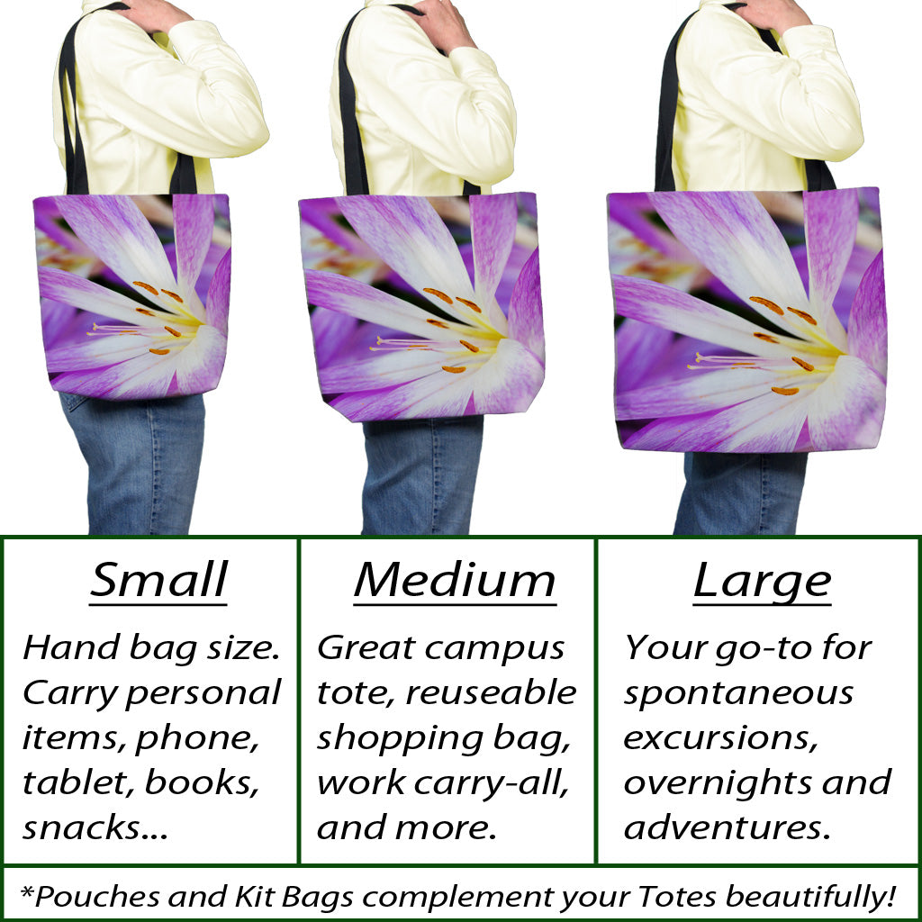 Slippers Tote